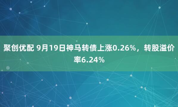 聚创优配 9月19日神马转债上涨0.26%，转股溢价率6.24%