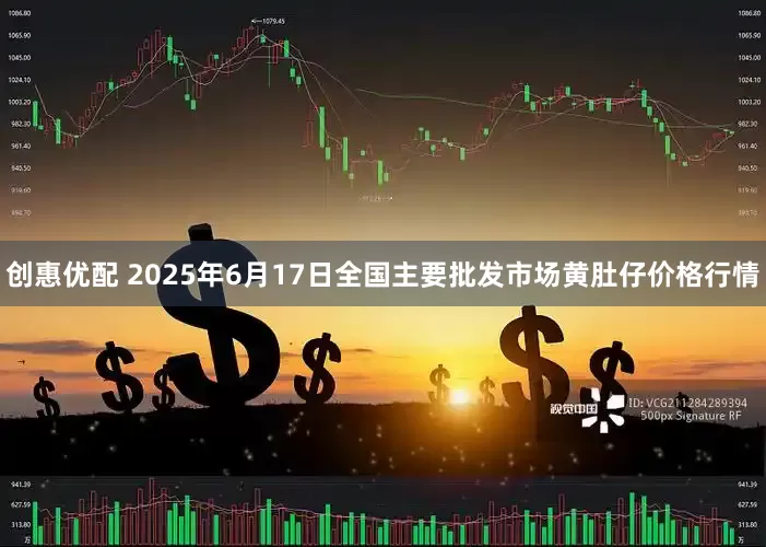 创惠优配 2025年6月17日全国主要批发市场黄肚仔价格行情